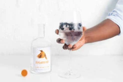Sugarbird Original Cape Fynbos Gin 50cl -The Savanna Sugerbird Gin Cape Town SouthAfrica 005